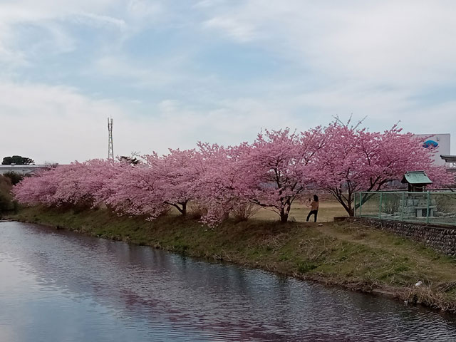 ぼちぼちいっか