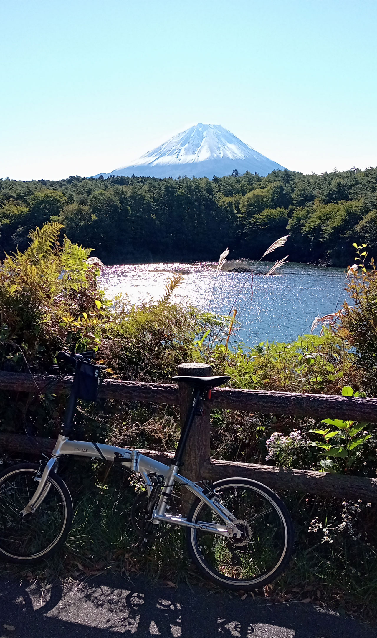 ぼちぼちいっか